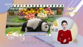 国产对白精品刺激一区二区